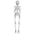 Faux Skeleton Decoration, White, 35", Halloween by Way To Celebrate