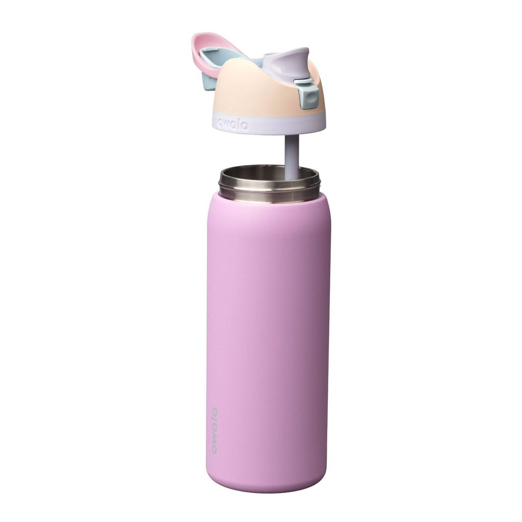 Owala FreeSip Stainless Steel 32 oz. Cotton Candy Sky