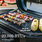 RoadTrip 285 Portable Stand-Up Propane Grill - 3 Adjustable Burners
