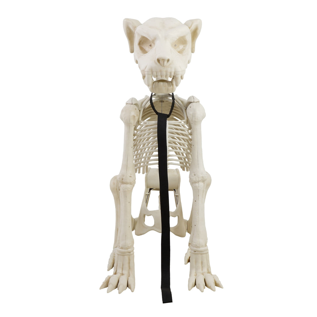 Way To Celebrate Animated Skeleton Dog Halloween Decoration, Beige, 60 in