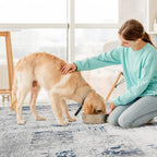 SIXHOME 5'x7' Area Rugs for Living Room Modern Abstract Area Rugs Machine Washable Rugs Soft Neutral Carpet Rugs for Bedroom Dining Room Office