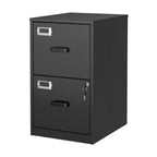 2 Drawer File Cabinet with Lock Vertical Filing Storage Cabinet Office Home Steel Vertical File Cabinets for Letter Size File Cabinet Locked,Assembly