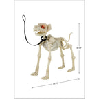 Way To Celebrate Animated Skeleton Dog Halloween Decoration, Beige, 60 in