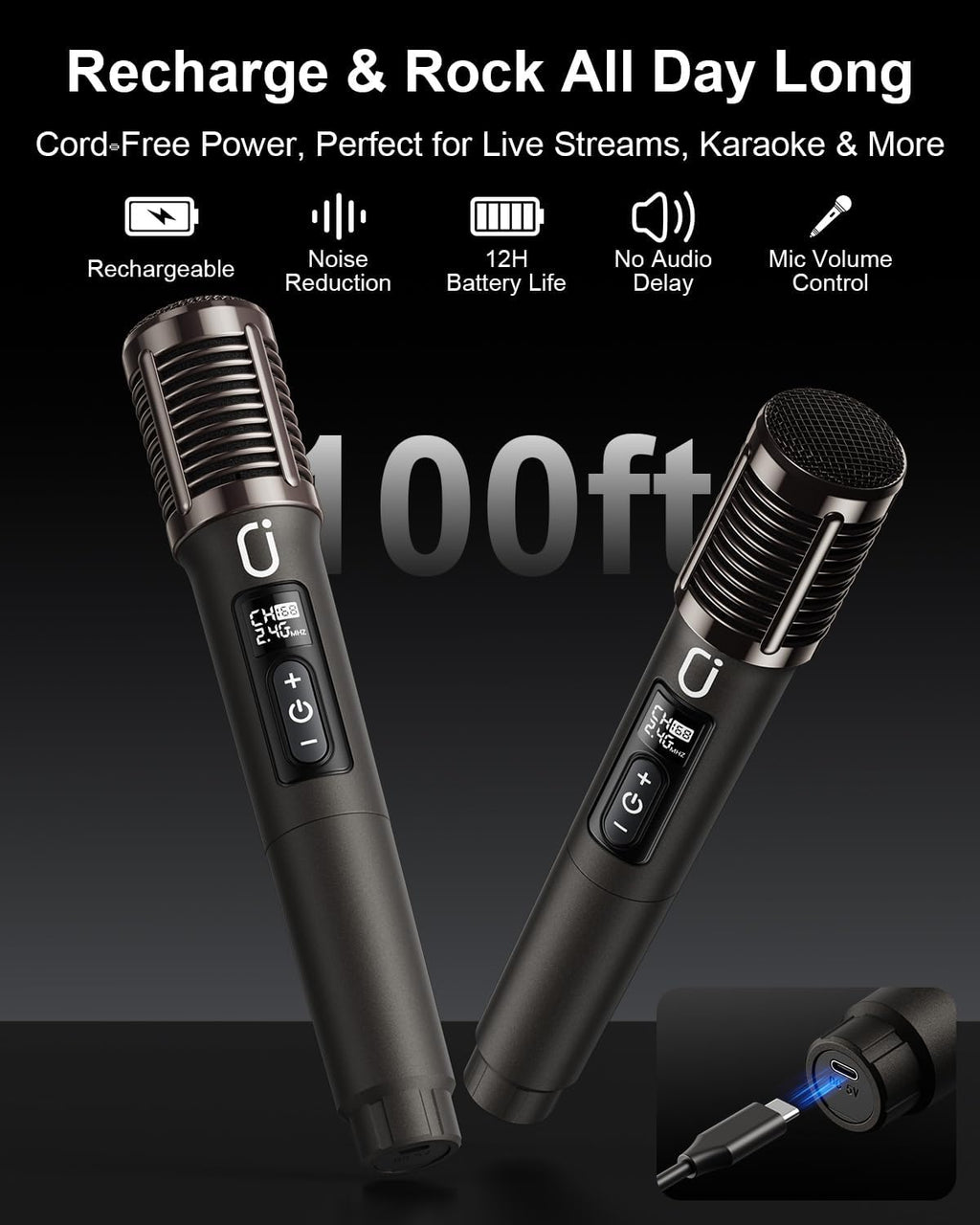 200W Karaoke Machine with 2 Rechargeable Wireless Microphones for Adults