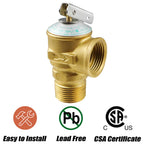 3/4 Inch IPS Isolator Tankless Water Heater Service Isolation Valve Kit