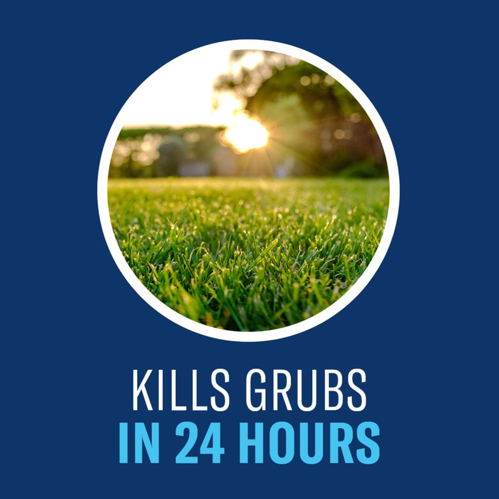 BioAdvanced 24-Hour Grub Plus Insect Killer Outdoor for Lawns, Ant, Tick, 20-Pound Ready-to-Spread Granules, Standard Bag