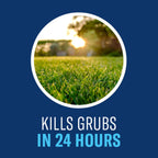 BioAdvanced 24-Hour Grub Plus Insect Killer Outdoor for Lawns, Ant, Tick, 20-Pound Ready-to-Spread Granules, Standard Bag