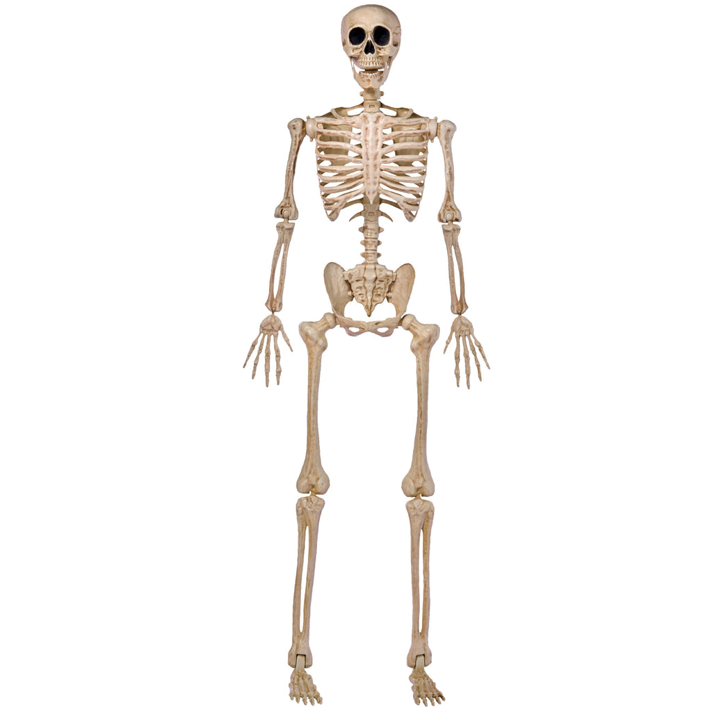 JOYIN 5 FT Halloween Skeleton Life Size, Stayable Posable Skeleton Decor, Full Body Movable Joints Giant Skeletons for Halloween Decoration Outdoor