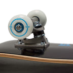 [CCS] Skateboard Complete | Maple Wood | Professional Grade | Fully Assembled with Skate Tool & Stickers | Adults, Kids, Teens, Youth | Boys & Girls