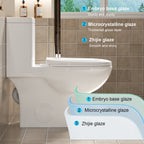 Alvantor One-Piece Toilet, Modern 1.1/1.6 GPF Dual Flush Toilet ADA Height 17" Rimless Bowl with Soft Closing Seat White