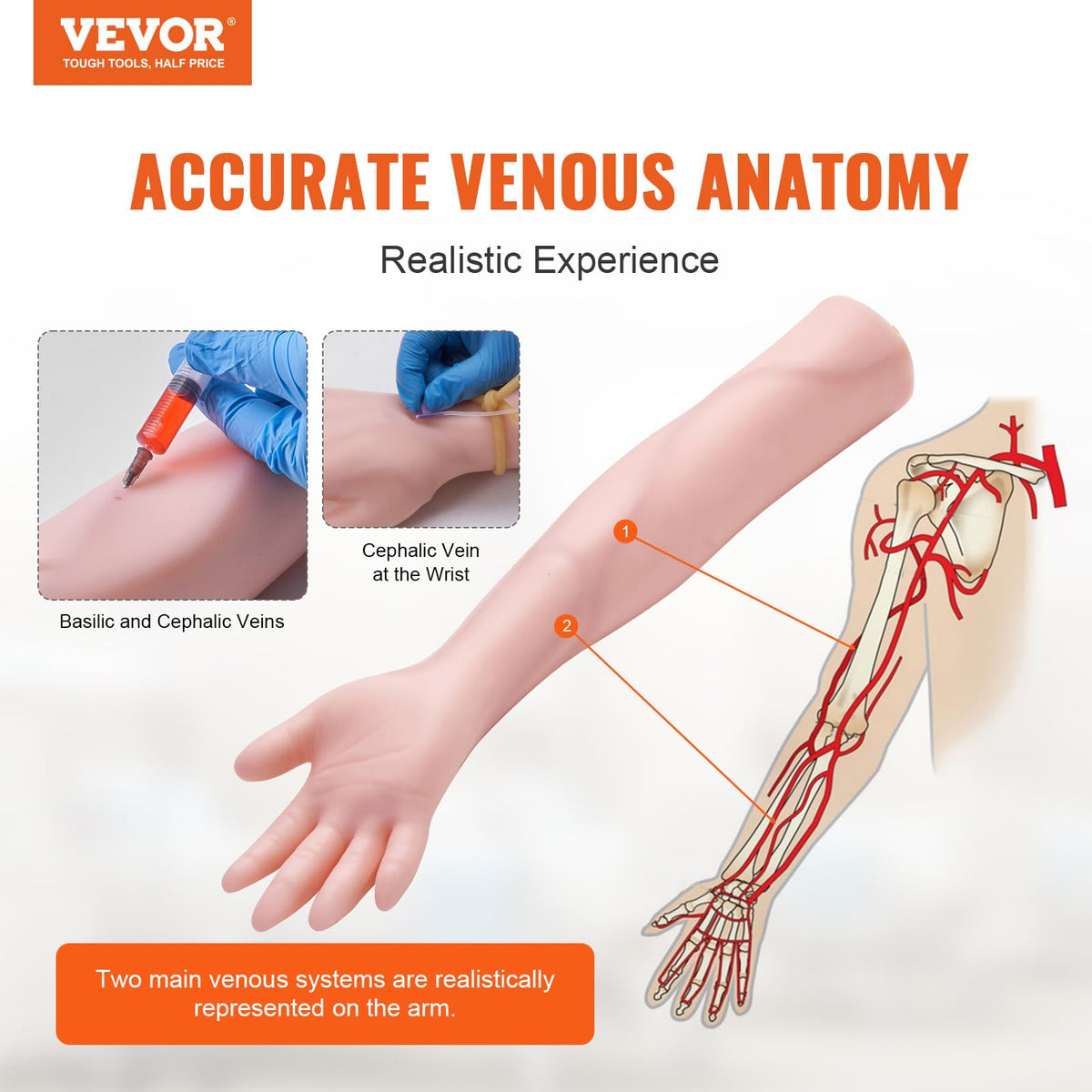 VEVOR Intravenous Practice Arm Kit Made of PVC Latex Material Phlebotomy Arm with Infusion Stand Practice Arm for Phlebotomy with a Storage Handbag