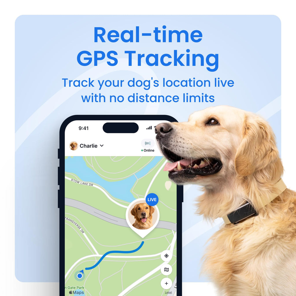 Tractive Smart Dog GPS Tracker | Live Pet Tracker with Virtual Fence | Vital Signs Monitoring of Heart & Respiratory Rate | Bark Monitoring | Dog