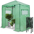 EAGLE PEAK 6x4 Easy Setup Small Pop Up Greenhouse, Clear/Green