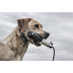 SportDOG FieldTrainer 425X Remote Trainer, 500-Yard Range, Waterproof