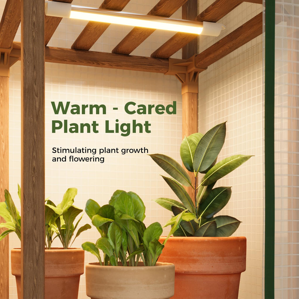Bamworld Mini Greenhouse with Grow Light Plant Stand for Mutiple Pots Outdoor 3-Tier Portable Greenhouses with Durable PE Cover for Seedling Ideal