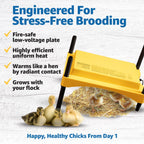 Brinsea Ecoglow Safety 600 Chick or Duckling Brooder, Up to 20 Chicks
