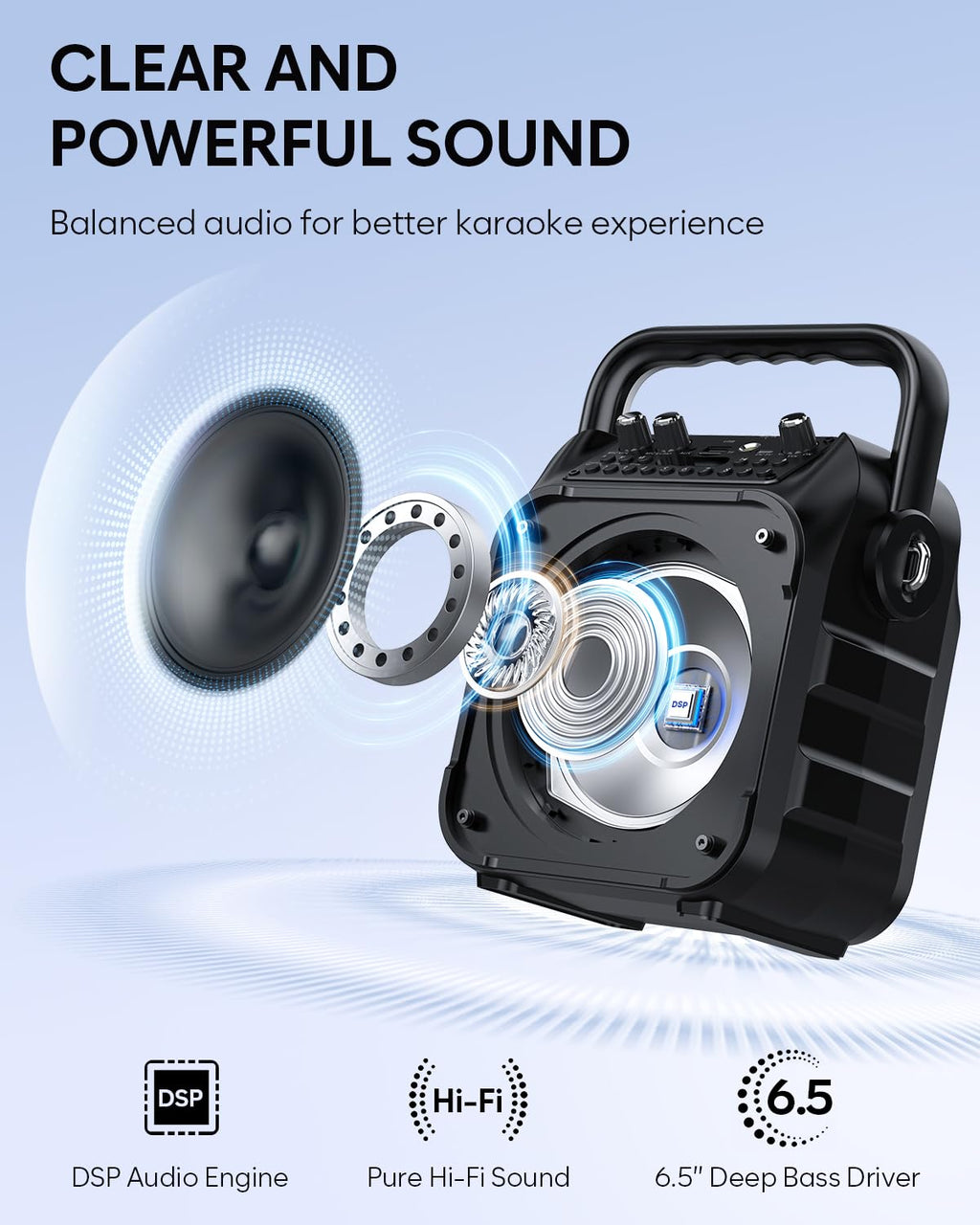 Karaoke Machine, Portable Bluetooth Speaker with 2 Wireless Microphones
