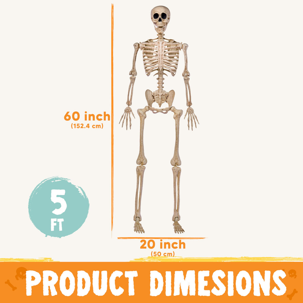 JOYIN 5 FT Halloween Skeleton Life Size, Stayable Posable Skeleton Decor, Full Body Movable Joints Giant Skeletons for Halloween Decoration Outdoor