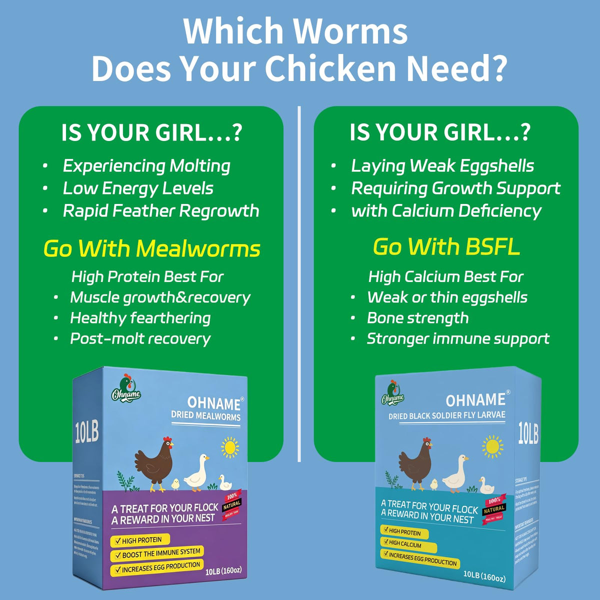 10LB Dried Black Soldier Fly Larvae for Chickens