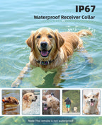 2-in-1 Dog Shock Collar and Bark Collar for Dogs – 3300FT Dog Training Collar with Remote, IP67 Waterproof e Collar with Anti
