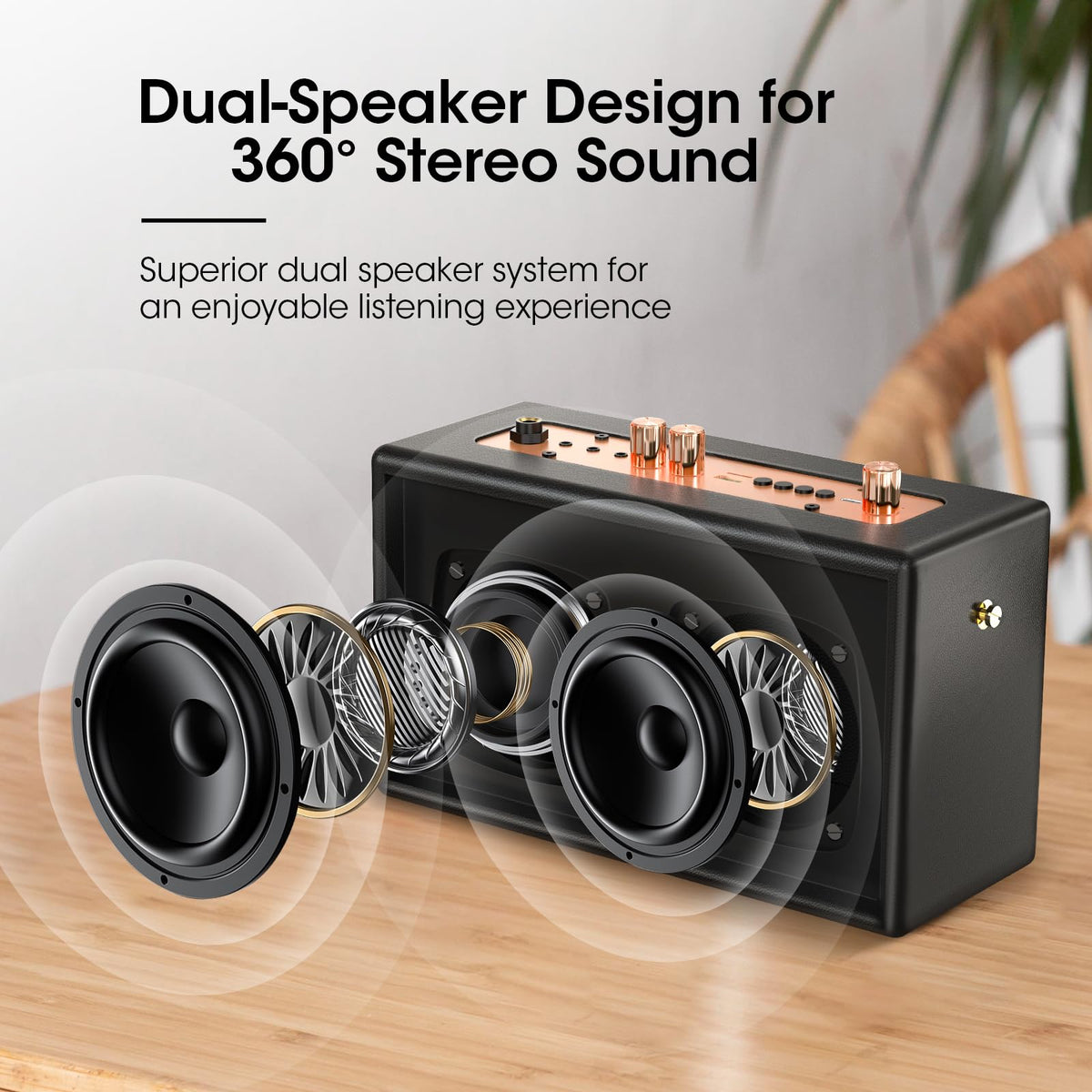 Karaoke Machine, Retro-Design Speaker with 2 Wireless Microphones for Adults & Kids, Portable Karaoke System for Home Party, Bluetooth/AUX/USB/TF/TWS