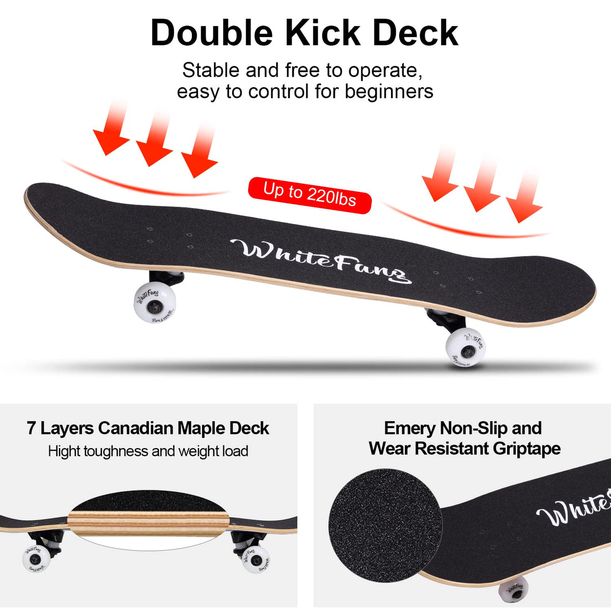 WhiteFang Skateboards for Beginners, Complete Skateboard 31 x 7.88, 7 Layer Canadian Maple Double Kick Concave Standard and Tricks Skateboards for