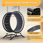 GTPLAYER Cat Wheels, 40" Diameter, Large Cat Exercise Wheel for Indoor Cats cat Treadmill Metal with Detachable Carpet & Teaser/Stickers, Ultra-Quiet