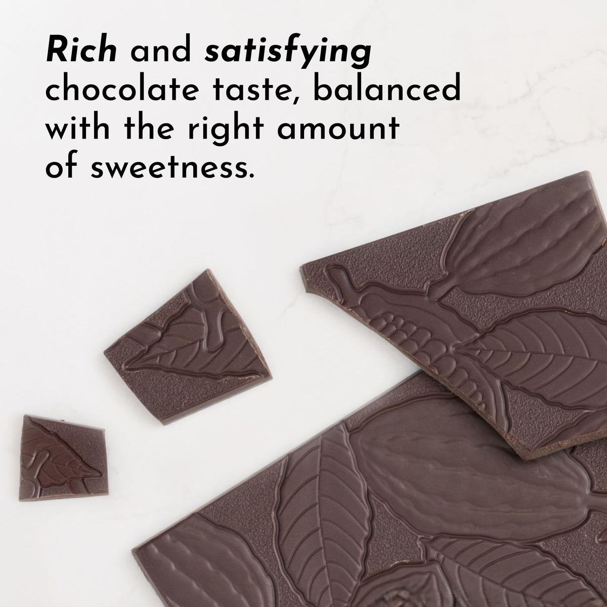 JUST INGREDIENTS Chocolate Protein Powder - Grass-Fed Whey - 30 Servings