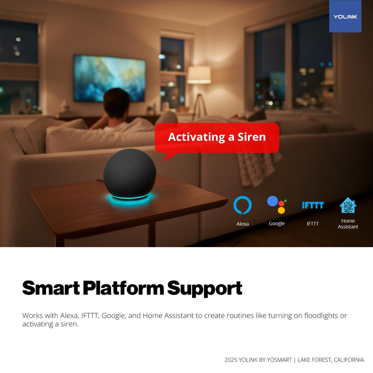 YoLink Outdoor Motion Sensor for Driveway Alerts Kit: 2-Pack + SpeakerHub