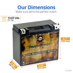 Pirate Battery YTX20HL-BS 310 CCA Maintenance-Free 12V 19Ah Battery Replacement for ATV, Harley Davidson Motorcycle, Jet Skis, Scooter, UTV, and More