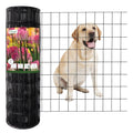 Black PVC Coated Welded Wire Fence 24" x 50' Roll, 2"x3" Mesh, 16 Gauge