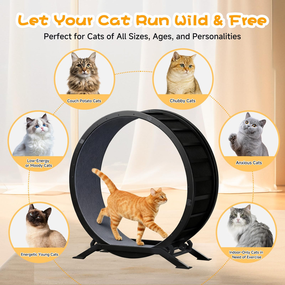GTPLAYER Cat Wheels, 40" Diameter, Large Cat Exercise Wheel for Indoor Cats cat Treadmill Metal with Detachable Carpet & Teaser/Stickers, Ultra-Quiet