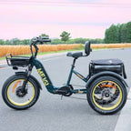 DWMEIGI Silverado 20 Foldable Fat Tire Electric Trike 48V/14AH 750W, 330LBS - MG2301