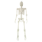 Hanging Posable Skeleton Decoration, White, 5', Halloween by Way To Celebrate