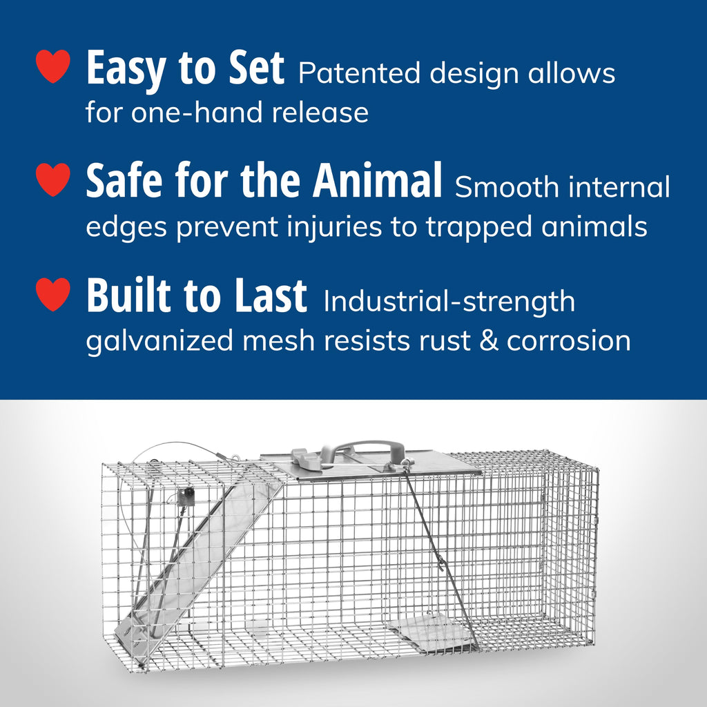 Havahart 1085 Large 1-Door Easy Set Humane Live Animal Trap for Armadillos, Cats, Groundhogs, Muskrats, Opossums, Raccoons, Skunks - Havahart Live