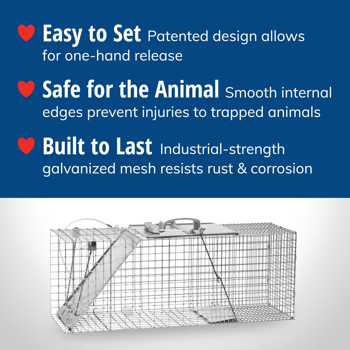 Havahart 1085 Large 1-Door Easy Set Humane Live Animal Trap for Armadillos, Cats, Groundhogs, Muskrats, Opossums, Raccoons, Skunks - Havahart Live