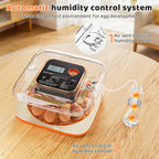 Egg Incubator for Hatching Eggs, 12 Egg Capacity, One-Touch Smart Hatching
