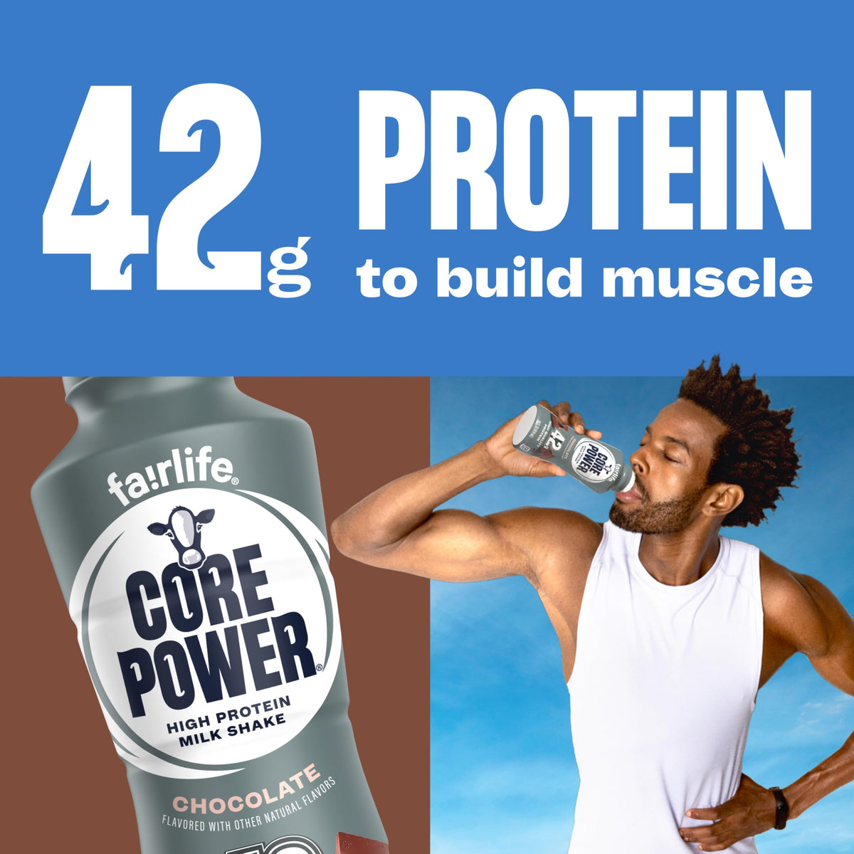 Core Power Fairlife Elite 42g High Protein Milk Shakes For kosher diet, Ready to Drink for Workout Recovery, Chocolate, 14 Fl Oz (Pack of 12), Liquid