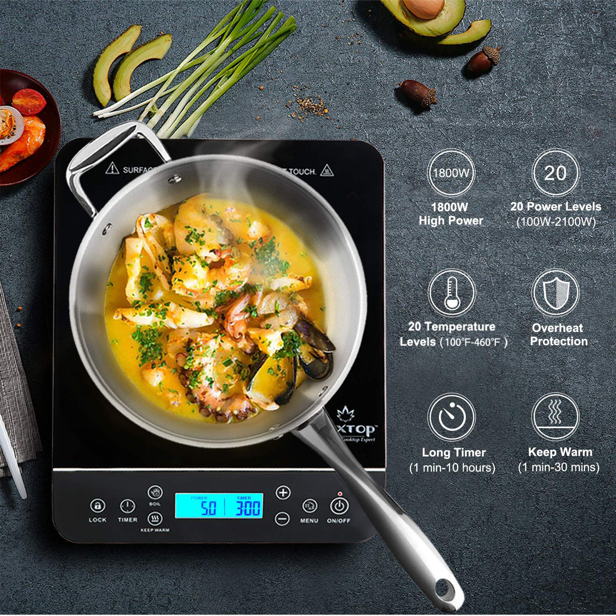 Duxtop Portable Induction Cooktop, Countertop Burner 1800W Silver 9600LS