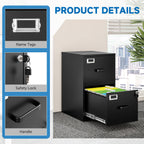 2 Drawer File Cabinet with Lock Vertical Filing Storage Cabinet Office Home Steel Vertical File Cabinets for Letter Size File Cabinet Locked,Assembly