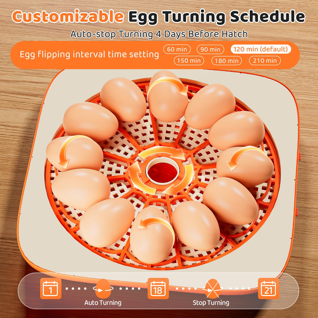 Egg Incubator for Hatching Eggs, 12 Egg Capacity, One-Touch Smart Hatching