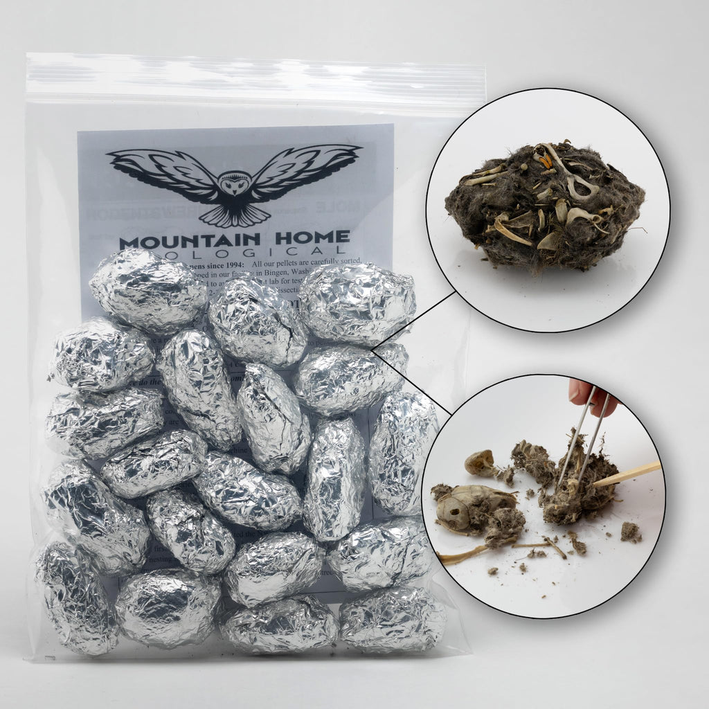 Barn Owl Pellets, Pack of 20 Small, Individually Foil Wrapped & Pre-Graded, Science Classroom Hands On Dissection Kit