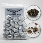 Barn Owl Pellets, Pack of 20 Small, Individually Foil Wrapped & Pre-Graded, Science Classroom Hands On Dissection Kit
