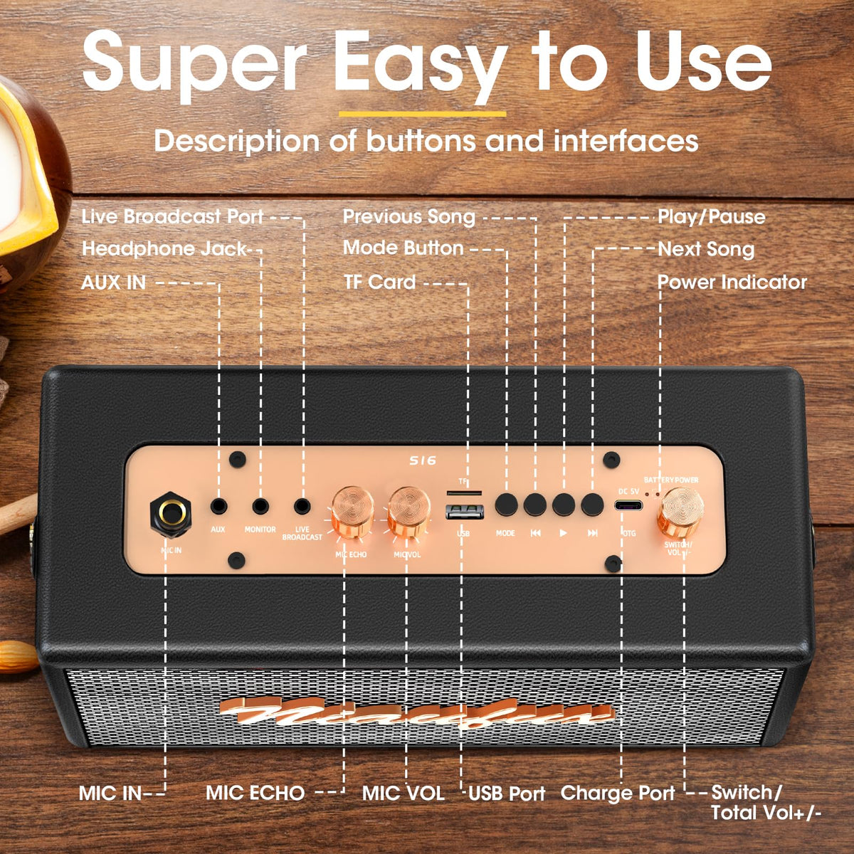 Karaoke Machine, Retro-Design Speaker with 2 Wireless Microphones for Adults & Kids, Portable Karaoke System for Home Party, Bluetooth/AUX/USB/TF/TWS