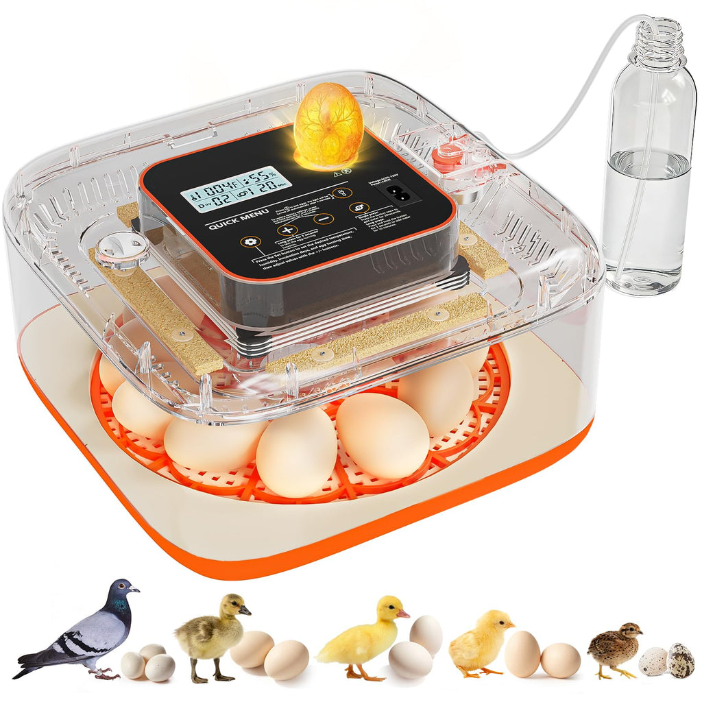 Egg Incubator for Hatching Eggs, 12 Egg Capacity, One-Touch Smart Hatching