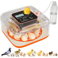 Egg Incubator for Hatching Eggs, 12 Egg Capacity, One-Touch Smart Hatching