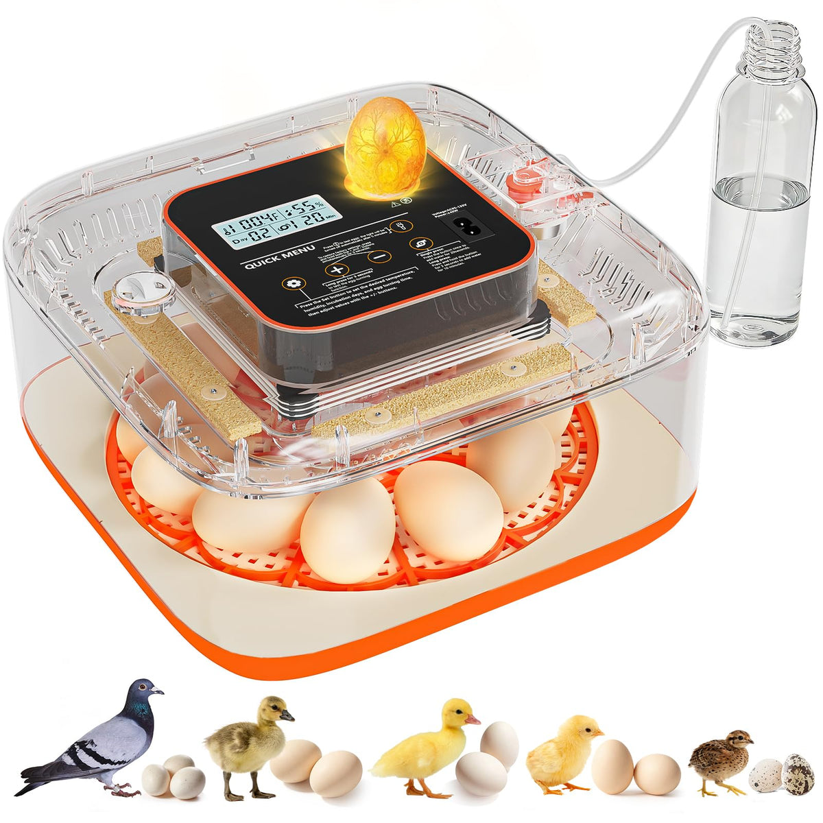 Egg Incubator for Hatching Eggs, 12 Egg Capacity, One-Touch Smart Hatching