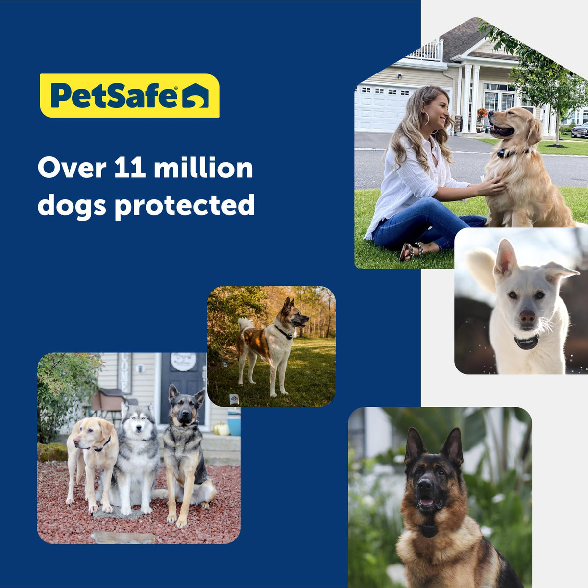 PetSafe Stubborn Dog In-Ground Fence Collar