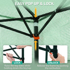 EAGLE PEAK 6x4 Easy Setup Small Pop Up Greenhouse, Clear/Green
