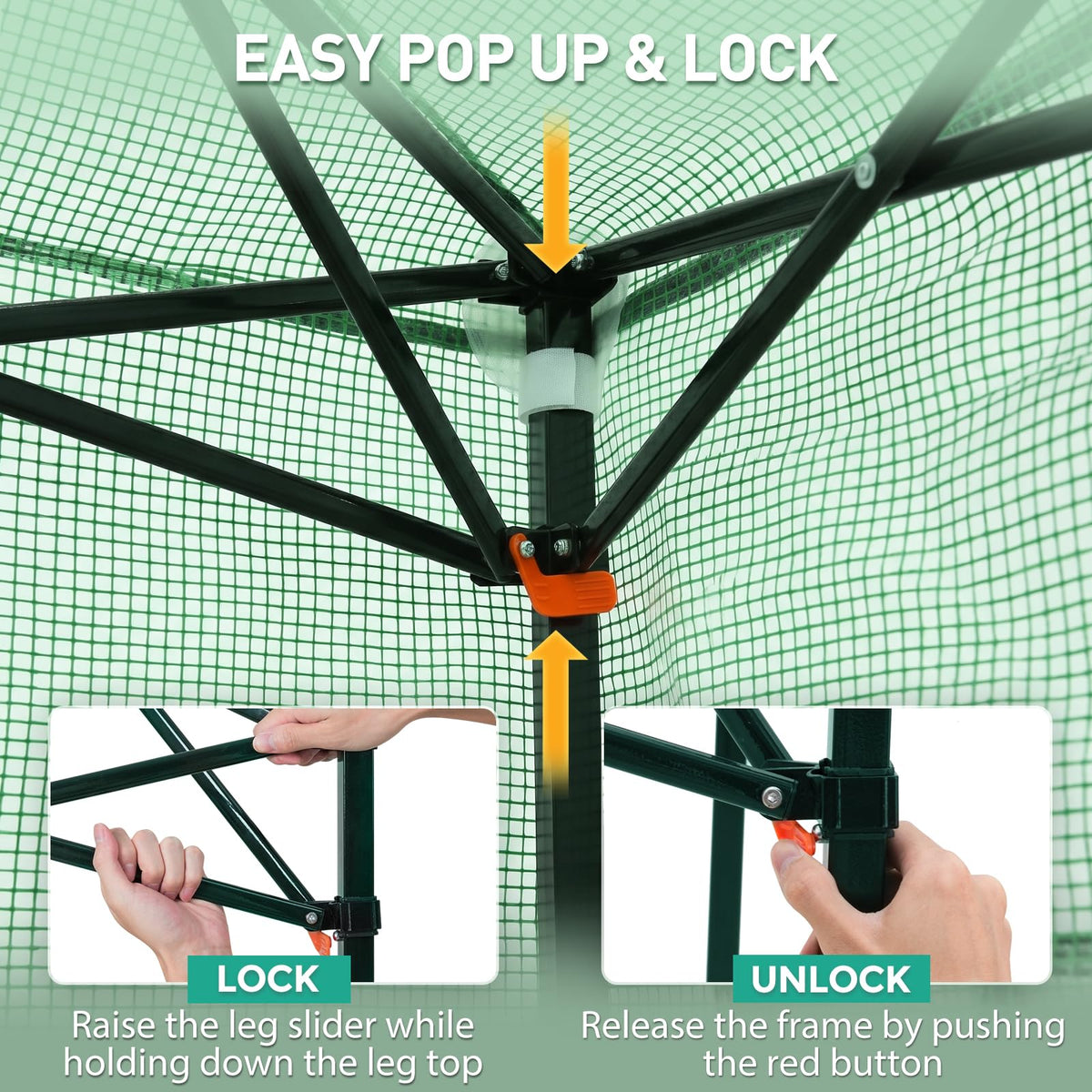 EAGLE PEAK 6x4 Easy Setup Small Pop Up Greenhouse, Clear/Green